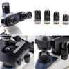 Swift SW380T 40X-2500X Magnification, Siedentopf Head, Research-Grade Trinocular Microscope Compound Lab with Wide-Field 10X/25X Eyepieces, Mechanical Stage, Ultra-Precise Focusing, Camera-Compatible view 2