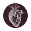 2X Sticker Set - Anatomical Heart - for Phone Grip Stent Cell Phones Tablets (Stickers Only) view 1