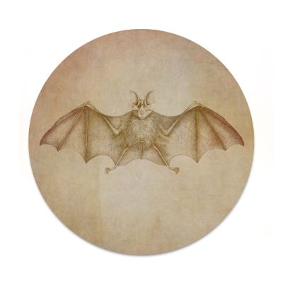 2X Sticker Set - Bat Sketch - for Phone Grip Stent Cell Phones Tablets (Stickers Only)