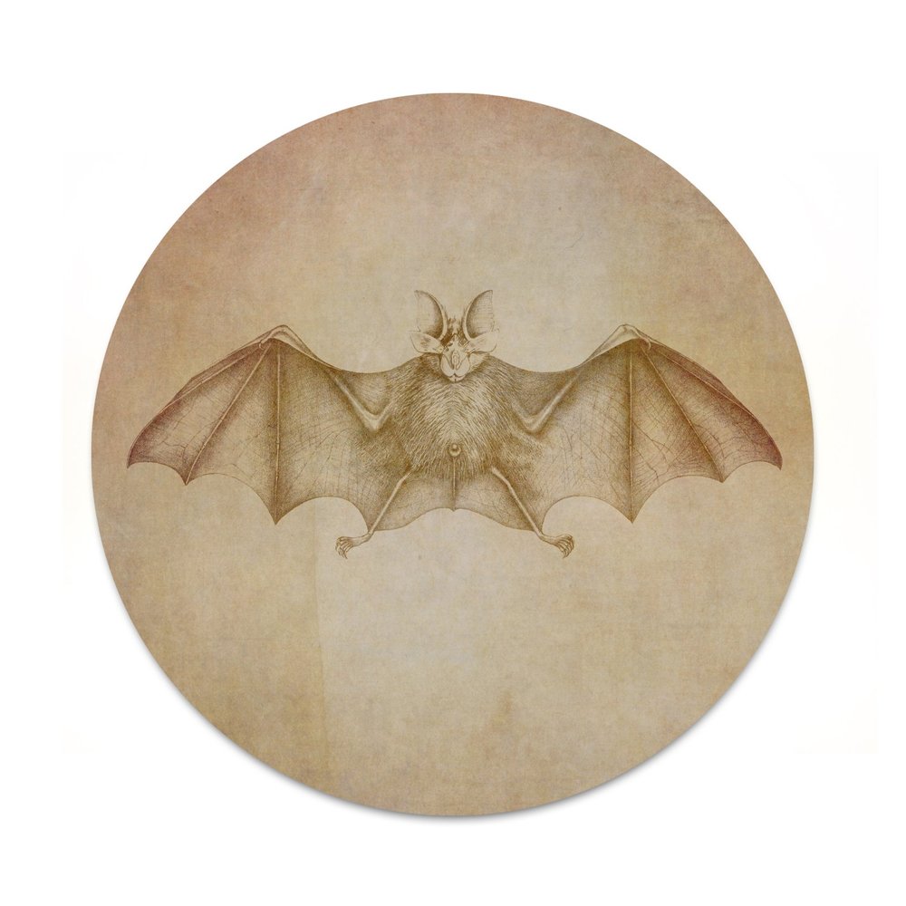 2X Sticker Set - Bat Sketch - for Phone Grip Stent Cell Phones Tablets (Stickers Only)