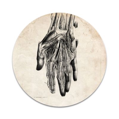 2X Sticker Set - Realistic Anatomical Hand - for Phone Grip Stent Cell Phones Tablets (Stickers Only)