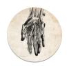 2X Sticker Set - Realistic Anatomical Hand - for Phone Grip Stent Cell Phones Tablets (Stickers Only) view 1