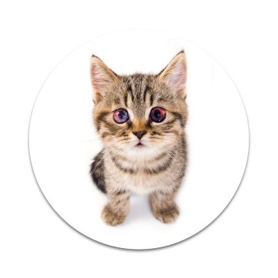 2X Sticker Set - Space Cat - for Phone Grip Stent Cell Phones Tablets (Stickers Only)