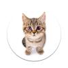 2X Sticker Set - Space Cat - for Phone Grip Stent Cell Phones Tablets (Stickers Only) view 1