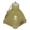 Lutema Platinum Bulb for A+K S120X Projector (Lamp Only) view 4