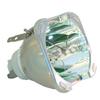 Lutema Platinum Bulb for Dell 331-7395 Projector Lamp (Original Philips Inside) view 2