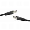 0.5m USB 2.0 A Male to A Male Lead view 1