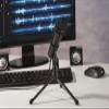 Hama | Mic-P35 Allround Microphone for PC and Notebook | 3.5 mm Jack Plug | Black view 2