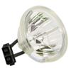 for Toshiba TB25-LMP Lamp Only by LucentBulb view 1