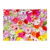 0.9 X 1.5M Photo Background Flower Photography Party Backdrops Waterproof Studio Video Photography for New Born Baby Wedding view 2