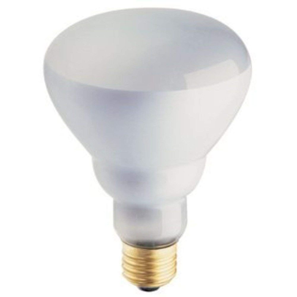 Philips Phillips Soft White 65-Watt BR30 Indoor Flood Light Bulb Pack of 8