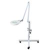 ElectroOptix Magnifying Glass with Light and Stand Hands Free, Adjustable Rolling Floor Stand Magnifier with 4 Wheels, White Facial Magnifying Lamp 5X,10x,15x for Reading, Repair, Beauty (Size : 5X) view 1