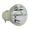 for BenQ 5J.J4J05.001 Lamp Only by LucentBulb view 1
