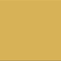 LifeColor FF04 Fixer Fluid: Gloss Yellow Green