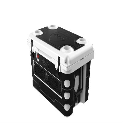 Wet Sounds Stealth SHIVR-55-WHT White High Output Audio Cooler Speaker System + Full Gator Step Kit - Black Over Gray