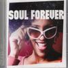 SOUL FOREVER view 1