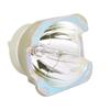 for ProjectionDesign 400-0650-00 Lamp Only by LucentBulb view 1