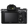 Sony a7 III Full Frame Mirrorless Interchangeable Lens 4K HDR Camera | Official Sony USA Partner Model | ILCE-7M3 Body Bundle with Deco Gear Travel Bag, 2X 64GB Memory Cards, Software & Accessories view 4