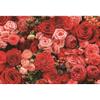 DORCEV 9x6ft Flower Photography Backdrop Wedding Birthday Party Bridal Shower Baby Shower Background Rose Flower Wall Garden Kids Adult Lover Wedding Photo Studio Props view 1