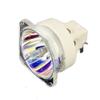 CTLAMP Original BL-FU310B / SP.78V01GC01 Projector DLP/LCD OEM Bulb BL-FU310B Compatible with EH500 X600 DH1017 DH1014 view 1
