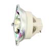 CTLAMP Original BL-FU310B / SP.78V01GC01 Projector DLP/LCD OEM Bulb BL-FU310B Compatible with EH500 X600 DH1017 DH1014 view 3