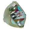 for Panasonic PT-D6000S (Twin Pack) Lamp Only by LucentBulb view 1