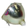 for Panasonic PT-D6000S (Twin Pack) Lamp Only by LucentBulb view 4
