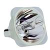 for BenQ 5J.Y1605.001 Lamp Only by LucentBulb view 1