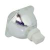 for BenQ 5J.Y1605.001 Lamp Only by LucentBulb view 4