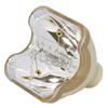 for Eiki POA-LMP106 Lamp Only by LucentBulb view 2