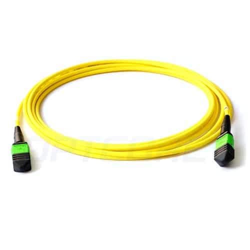 10 Meter(33ft) MPO to MPO Female Fiber Patch Cable, 12 Fibers OS2 9/125 Singlemode MPO Trunk Cable, LSZH Type B