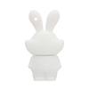 16GB Cartoon 12 Symbolic Animals USB Flash Drive U Disk USB 2.0 Data USB Flash Disk Memory Stick Pen Drive Storage Device USB Drive External Storage Flash Disk USB Disk (Rabbit) view 3