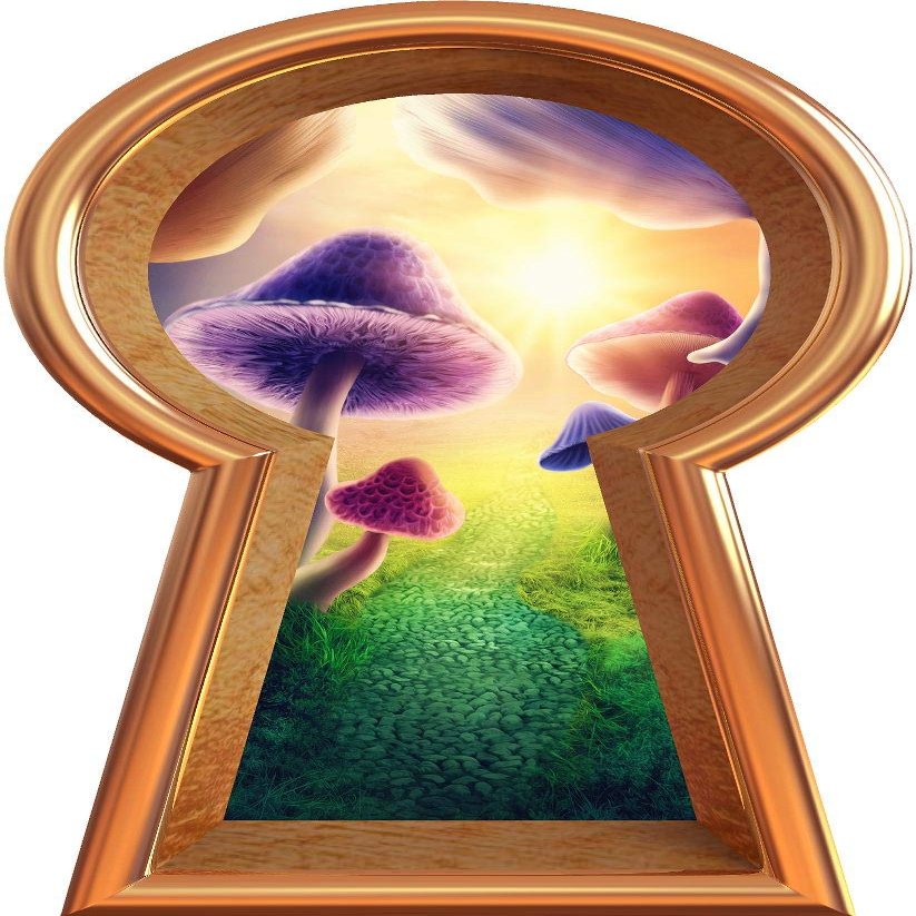 24" Bronze Keyhole 3D Wall Decal Magic Mushroom Wonderland Removable Vinyl Mural Decorations Wall Art for Childrens Nursery Decor - 24" Tall x 13.6" Wide