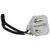 for Optoma EP745 Lamp Only by LucentBulb view 1