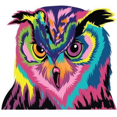 Colorful Owl Wall Sticker - Cute Bird Gift Vinyl Art Decor Decal -Cool Funny Animal Print - Love Window Fancy Pretty Unique Big Mural
