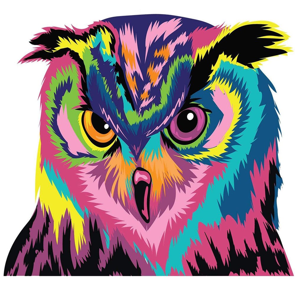 Colorful Owl Wall Sticker - Cute Bird Gift Vinyl Art Decor Decal -Cool Funny Animal Print - Love Window Fancy Pretty Unique Big Mural