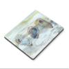 Caroline's Treasures SC2001MP Oysters Watercolor Mouse Pad, Hot Pad or Trivet for Home Office Gaming Working Computers Laptop Mouse Mat,Washable Large Mousepad view 1