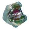 for Acer EC.K2700.001 Lamp Only by LucentBulb view 1