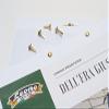 1000 Pieces Ottonate Astra No. 1 (11 mm) - 10 Boxes 100 Pieces - Lion Dell'Era Made in Italy view 3