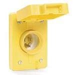 59W33, Conn Power PL 2Power/1Ground POS ST Cable Mount 3 Terminal 1 Port Watertite
