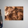CANVAS ON DEMAND Stone-Age cave Paintings, Chauvet, Wall Decal, Photography Artwork view 1