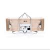 iFi AUDIO Aurora All-in-One Wireless Music System view 3