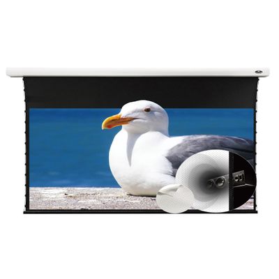VIVIDSTORM-Home Motorized Tension Pull Down Screen,Perforate Acoustically Sound Transparent with White Cinema,White Housing 4K/3D Home Cinema,Compatible with Standard Projector,VMSLPW110H