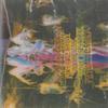 Peter Perrett: Woke Up Sticky -24250 Cassette Tape view 1