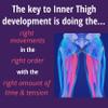 CRITICAL BENCH Inner Thigh Solution view 4