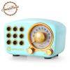Retro Bluetooth Speaker, Vintage Radio-Greadio FM Radio with Old Fashioned Classic Style, Strong Bass Enhancement, Loud Volume, Bluetooth 5.0 Wireless Connection, TF Card and MP3 Player (Blue) view 1