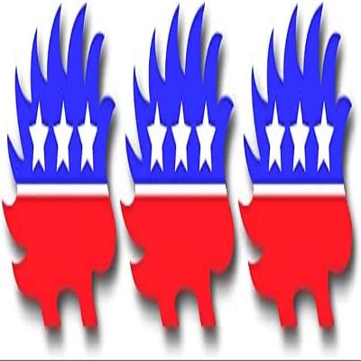 3 Pack | Libertarian Porcupine Logo American Made Hard Hat Label | Bike Sticker | Motorcycle Decal | Lunchbox, Toolbox Sticker Decal | (Each Decal 3" x 2.2")