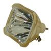 for Epson EMP-5700 Lamp Only (Long Life) by LucentBulb view 2