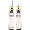 Tripp Lite Qsfp28 Active Optical Cable 100GB M/5M view 1