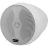 Dayton Audio WP65BTW 6-1/2" IP66 Indoor/Outdoor Pendant Speaker Pair 70V/100V 8 Ohm White view 2